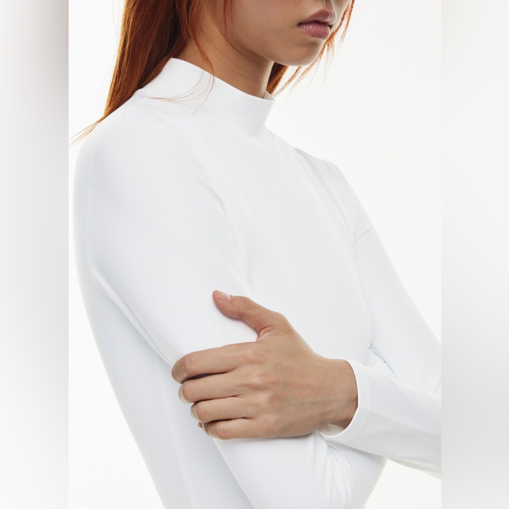 Aritzia Babaton Contour Mockneck Cropped Longsleeve